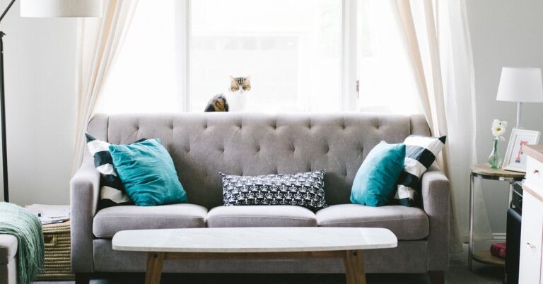 Reinventer son interieur astuces et tendances pour une decoration moderne et har